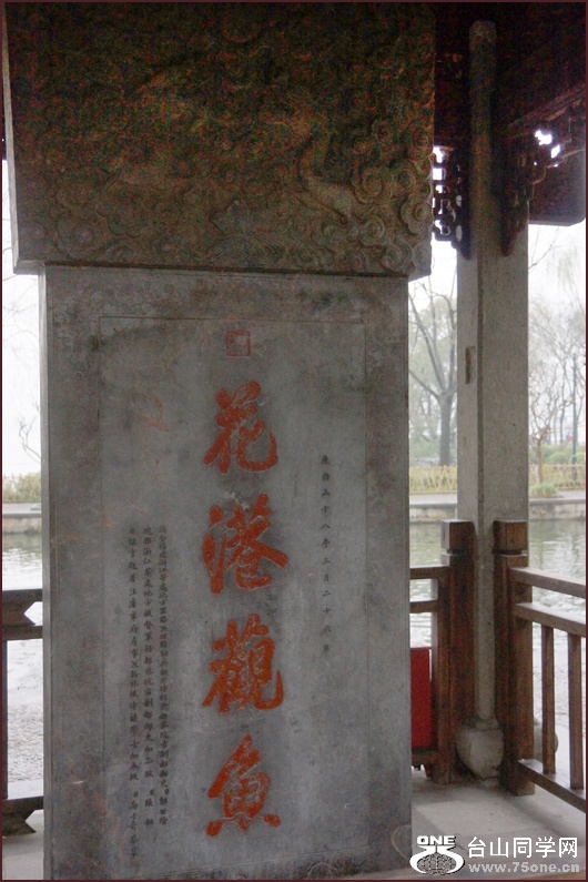 DSC01816aa.jpg