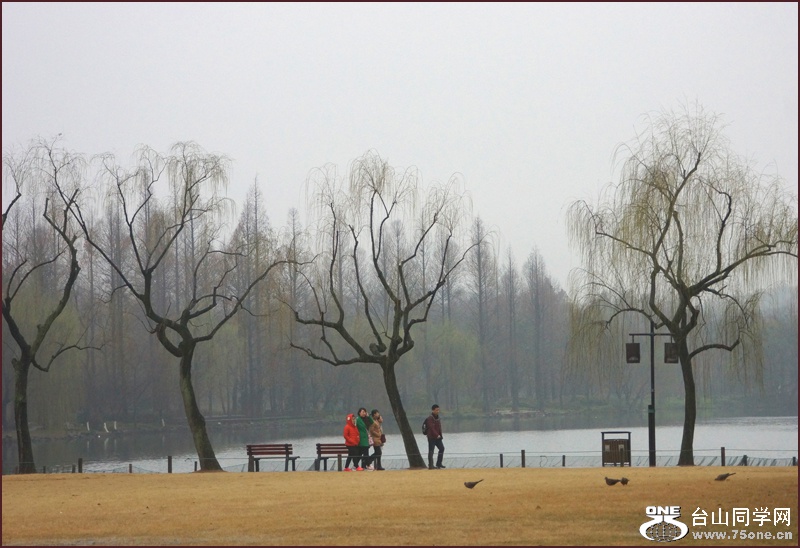 DSC01788aa.jpg