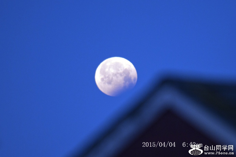 DSC_2477aa.jpg