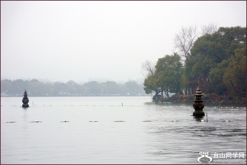 DSC02012aa.jpg