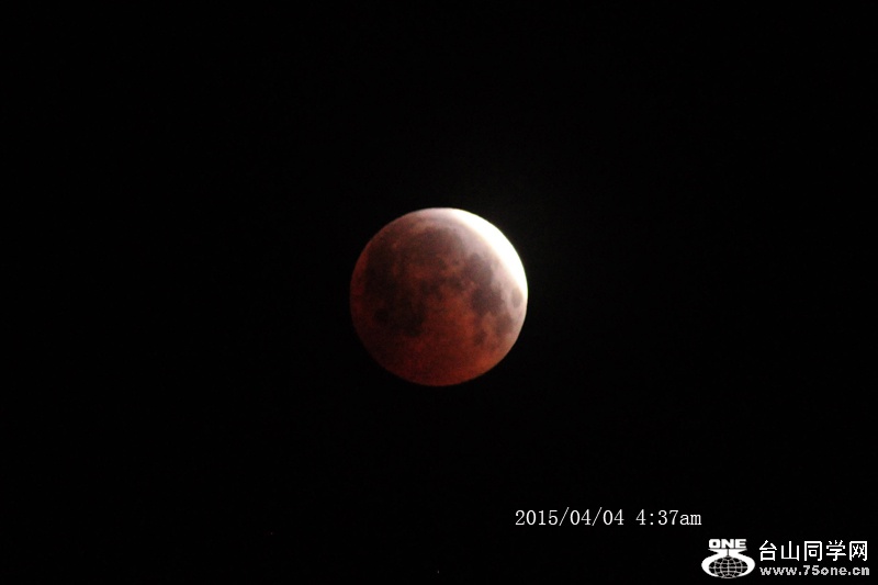 DSC_1974aa.jpg