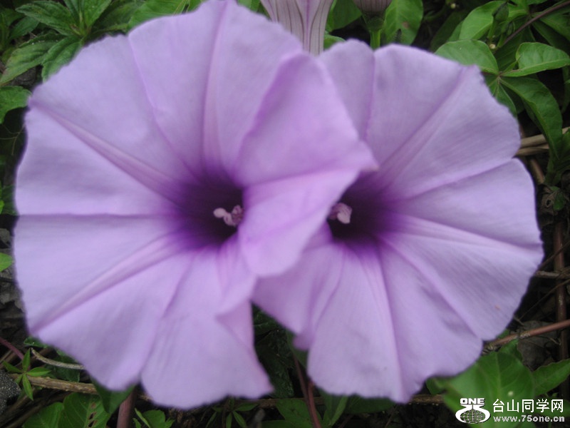 2015 049_.jpg