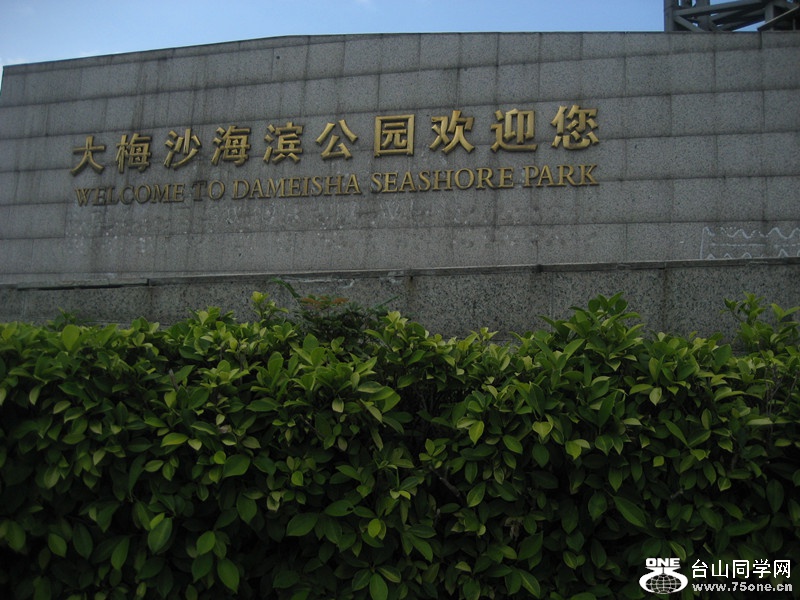 2015 162_.jpg