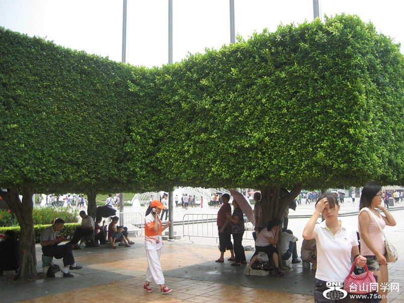 img_3270_.jpg