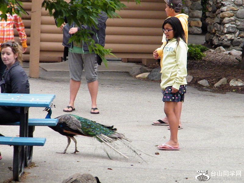 DSCF5592.JPG