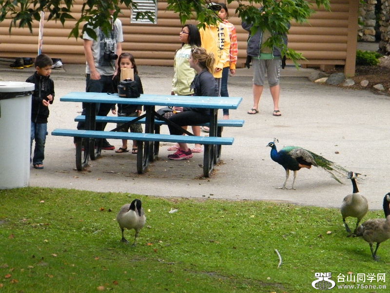 DSCF5593.JPG
