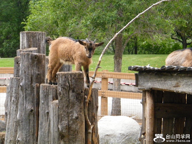 DSCF5608.JPG