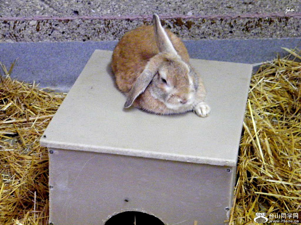 DSCF5571.JPG
