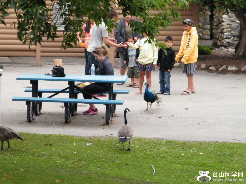 DSCF5589.JPG