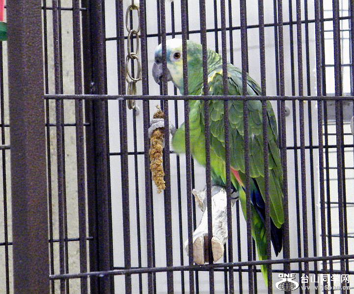 DSCF5574.JPG