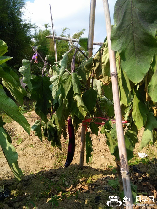 IMG20150330155004_.jpg