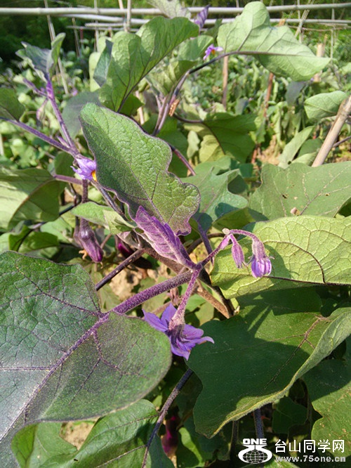 IMG20150330155018_.jpg