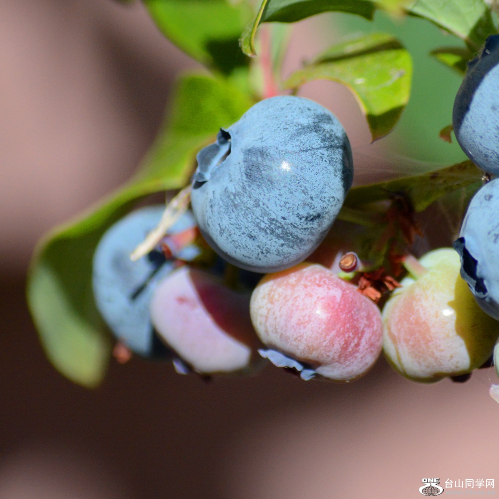 DSC_0600_30.jpg