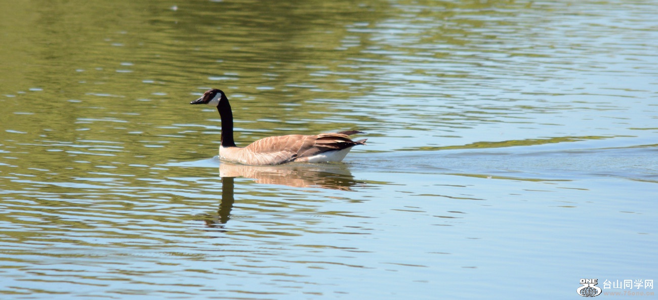 DSC_8318_74.jpg