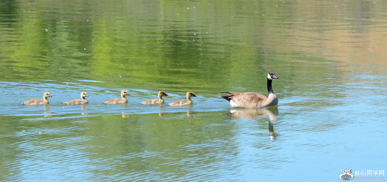 DSC_8488_40.jpg