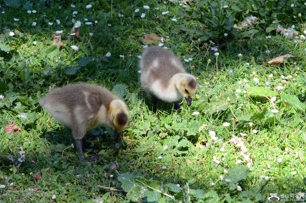 DSC_8284_79.jpg