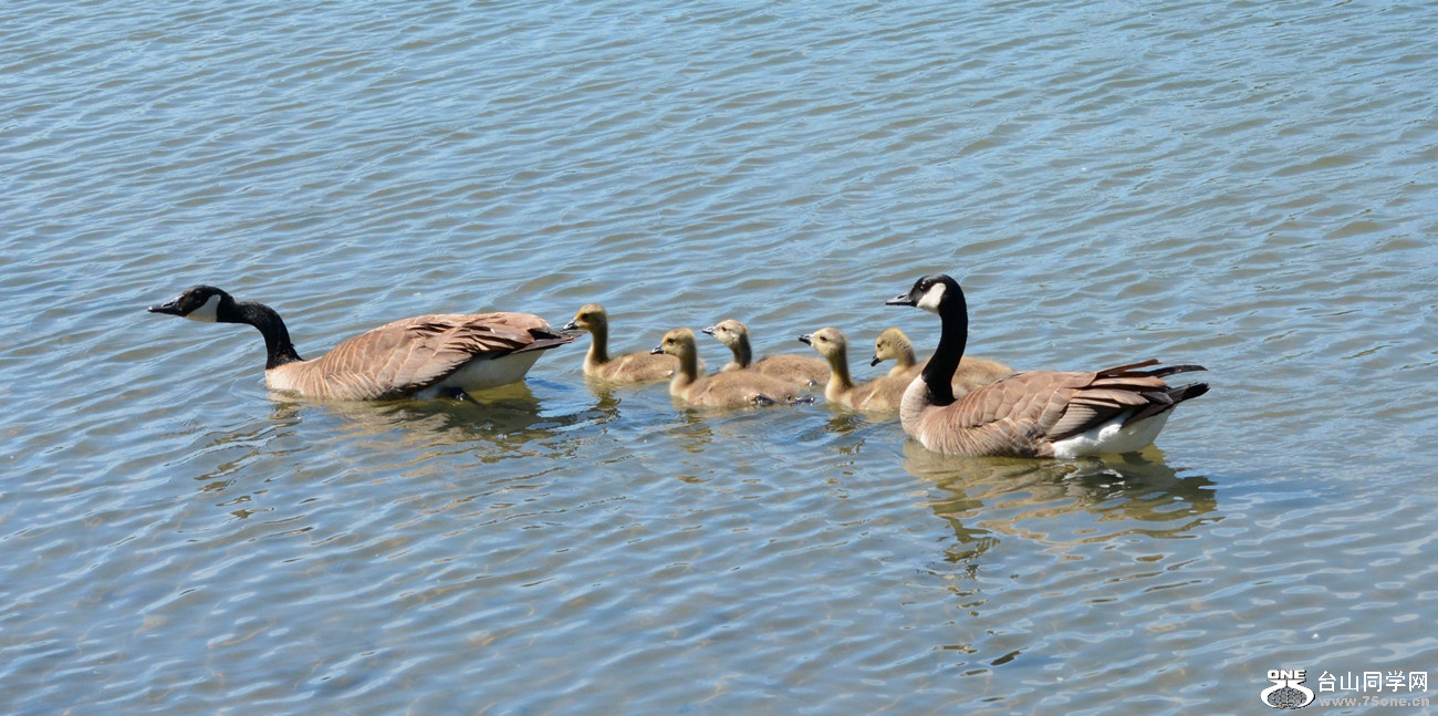 DSC_8400_57.jpg