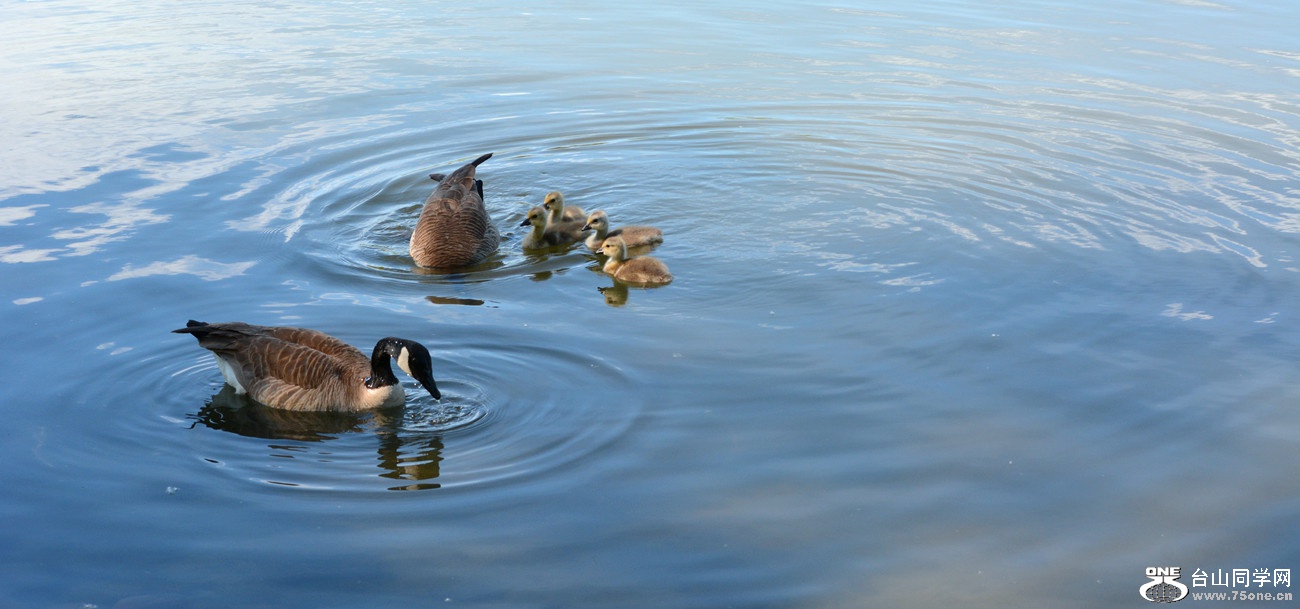 DSC_8073_09.jpg
