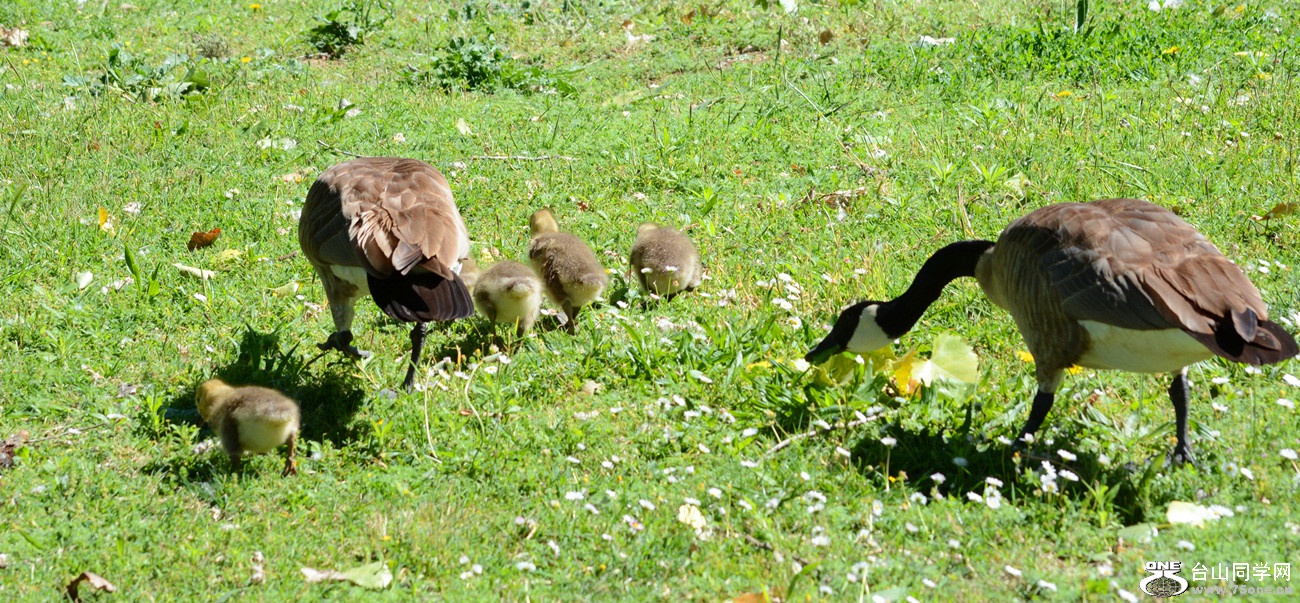 DSC_8298_77.jpg