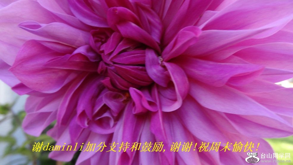 лdaminliӷֺ֧͹,лл!ףĩ!.jpg