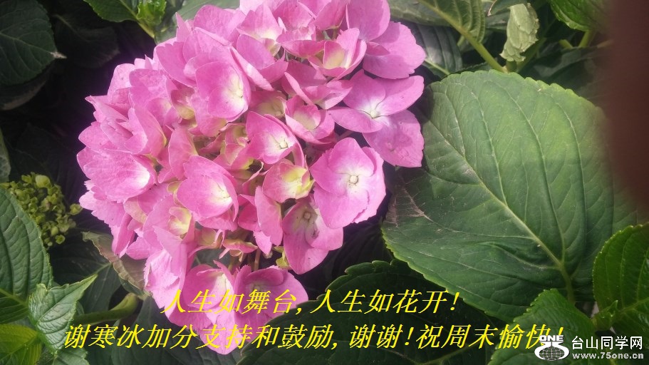 ̨,绨!лӷֺ֧͹,лл!ףĩ!.jpg
