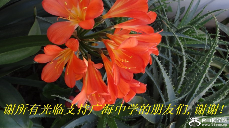谢所有光临支持广海中学的朋友们,谢谢!.jpg