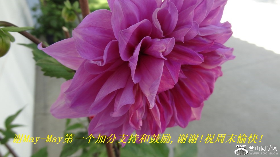 лMay-Mayһӷֺ֧͹,лл!ףĩ!.jpg