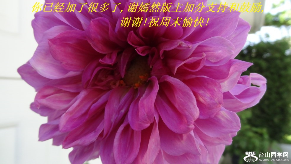Ѿ˺ܶ,лȻӷֺ֧͹,лл!ףĩ!.jpg