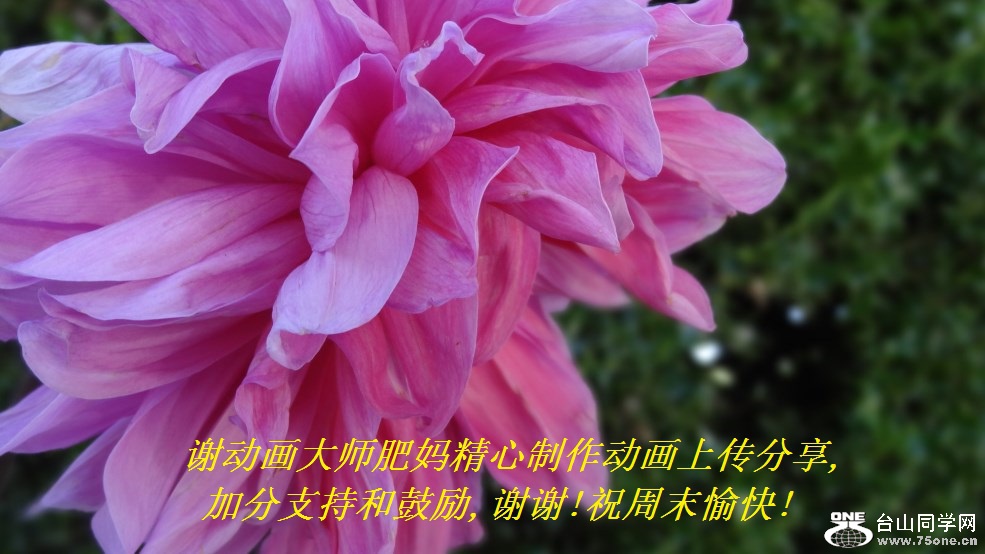 лʦ辫ϴ,ӷֺ֧͹,лл!ףĩ!.jpg