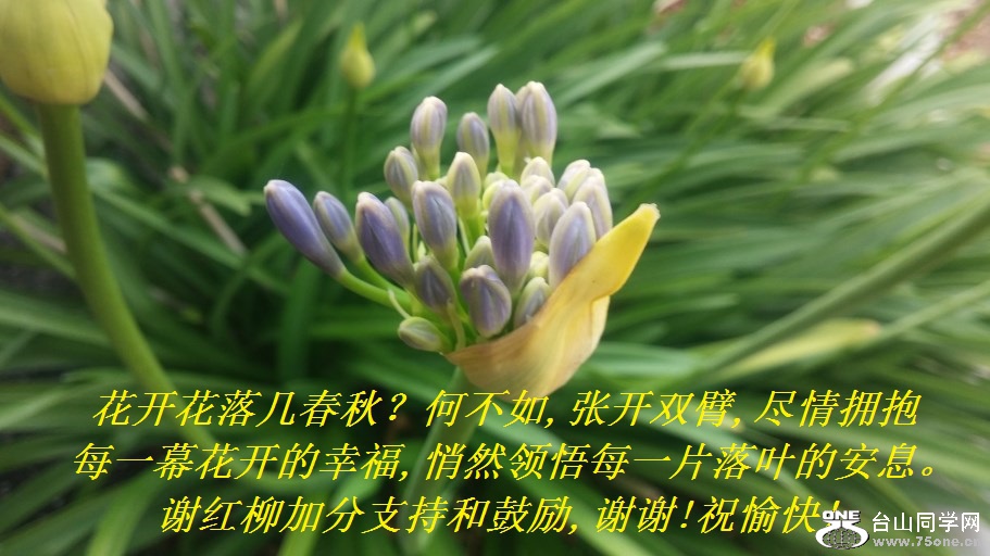 伸β,ſ˫,ӵÿһĻҸ,ȻÿһƬҶİϢлӷֺ֧