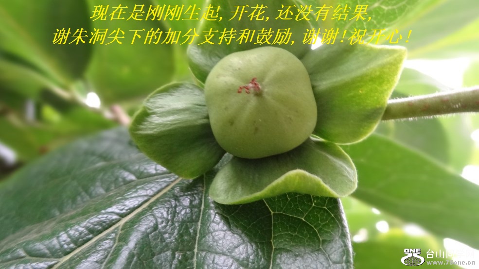 Ǹո,,ûн,л춴µļӷֺ֧͹,лл!ף!.jpg