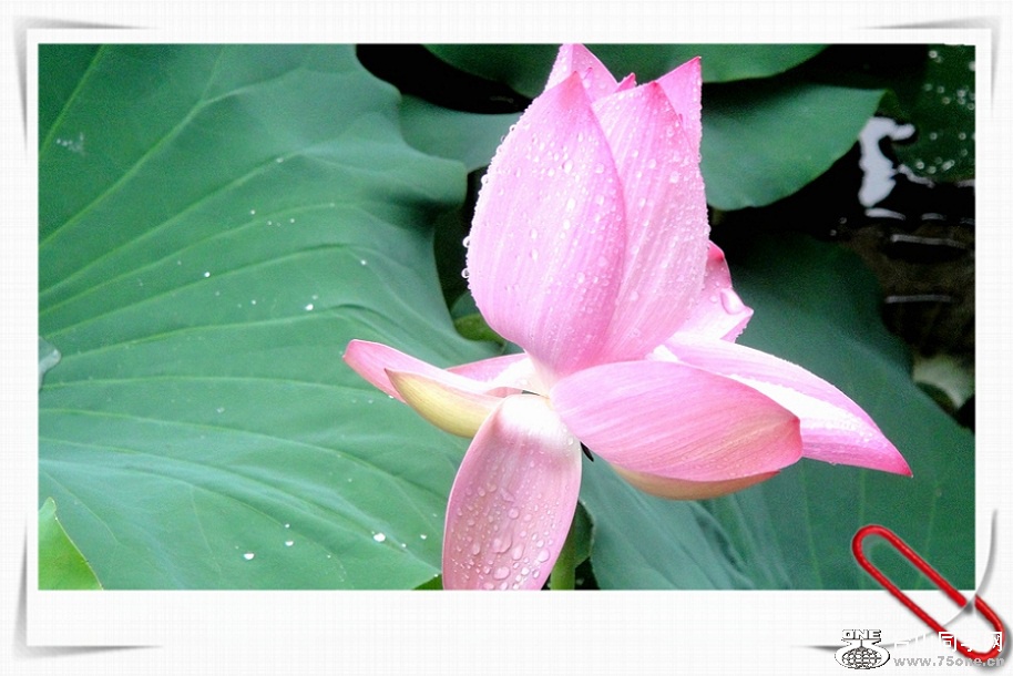 DSC01836_.jpg