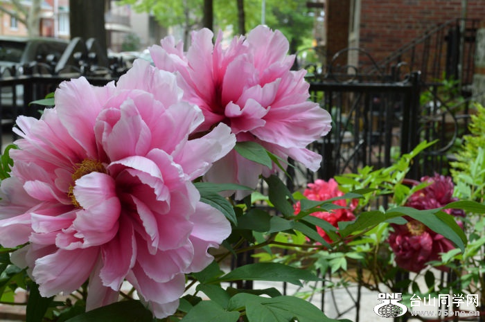 DSC_1047.jpg