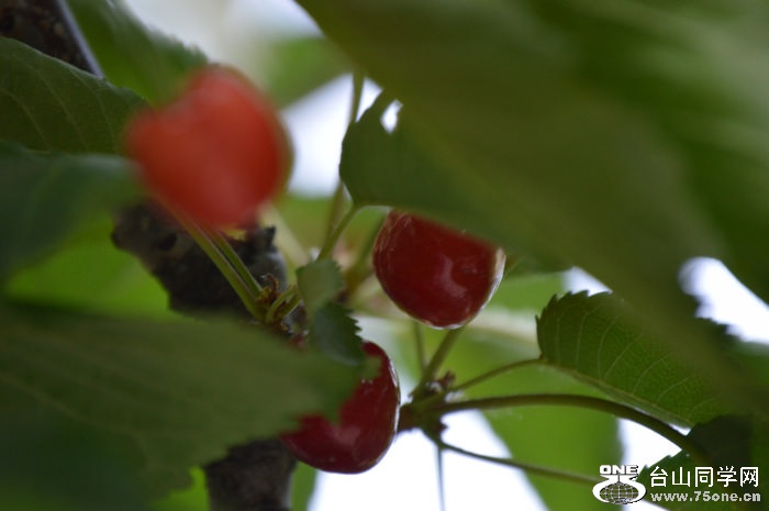 DSC_0191.JPG