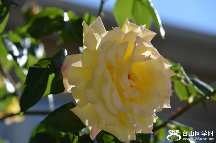 DSC_0182.JPG