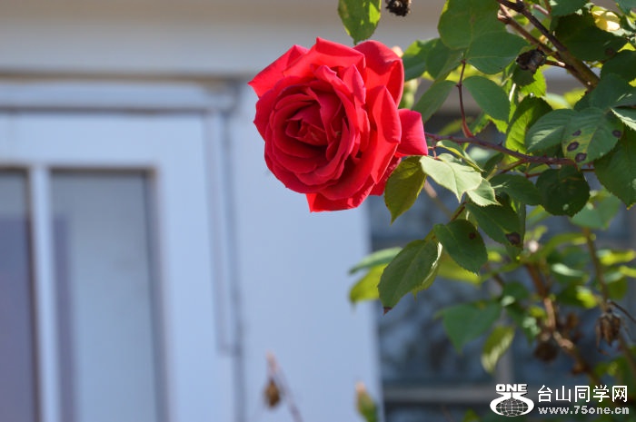 DSC_0088.JPG