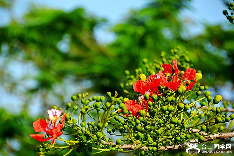 DSC_6957_conew1.jpg