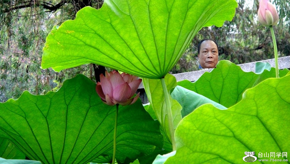 DSC01864___.jpg