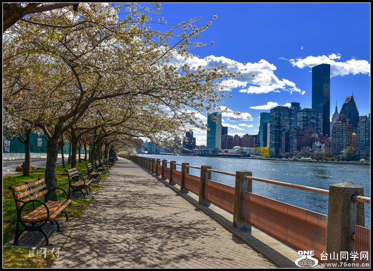 DSC_2929_.jpg