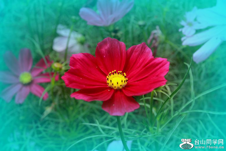 IMG_7841_.jpg