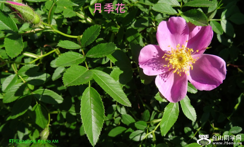 DSC06359a_1.jpg