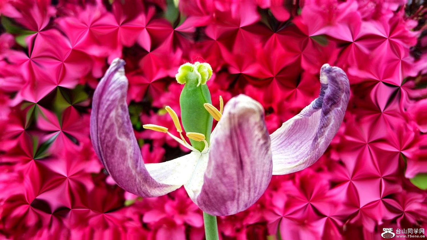 20150515_115116[2]_conew1.jpg