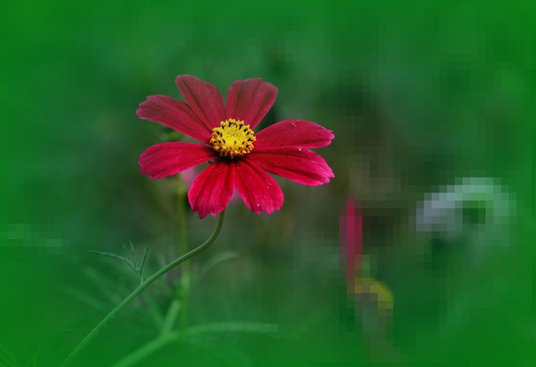 IMG_7866_����.jpg