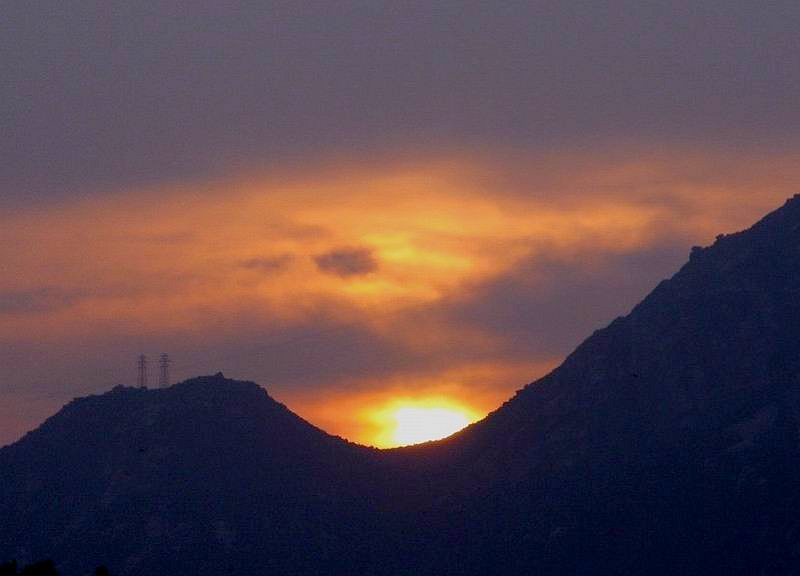 IMG_2903.jpg