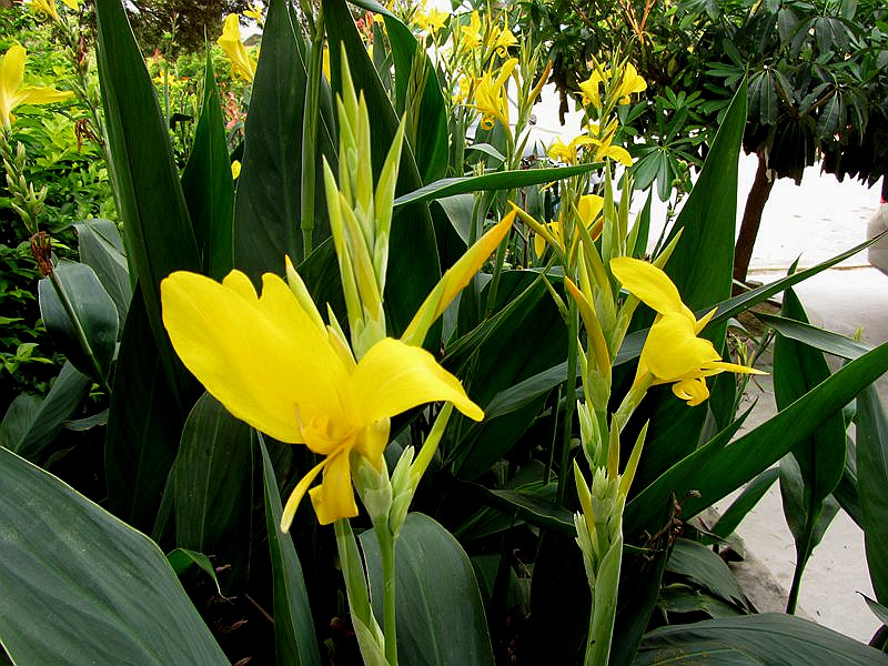 A_000204.jpg