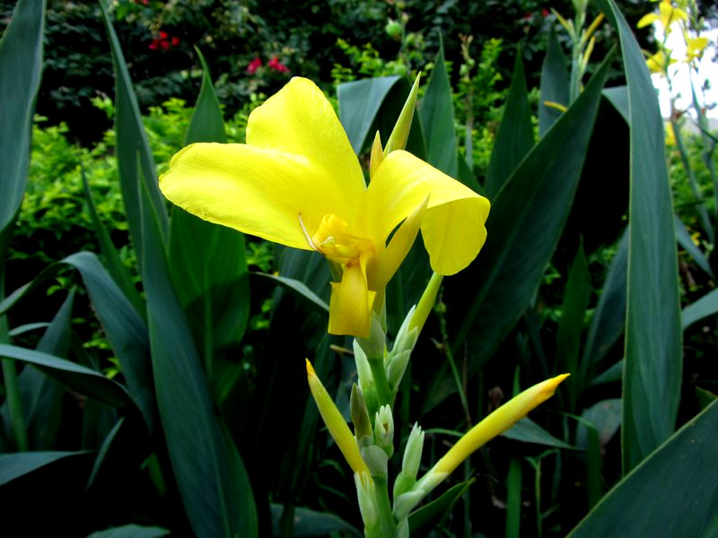 A_000201.jpg