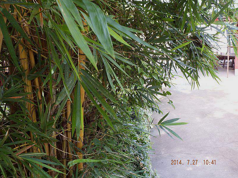 DSCF1564.jpg
