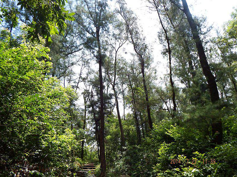 DSCF1599.jpg