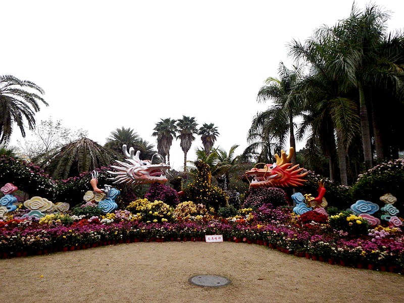 DSCF3521.jpg