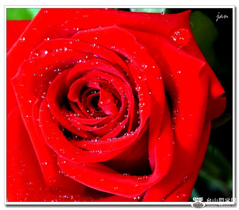 DSC03970 (2)_����.jpg